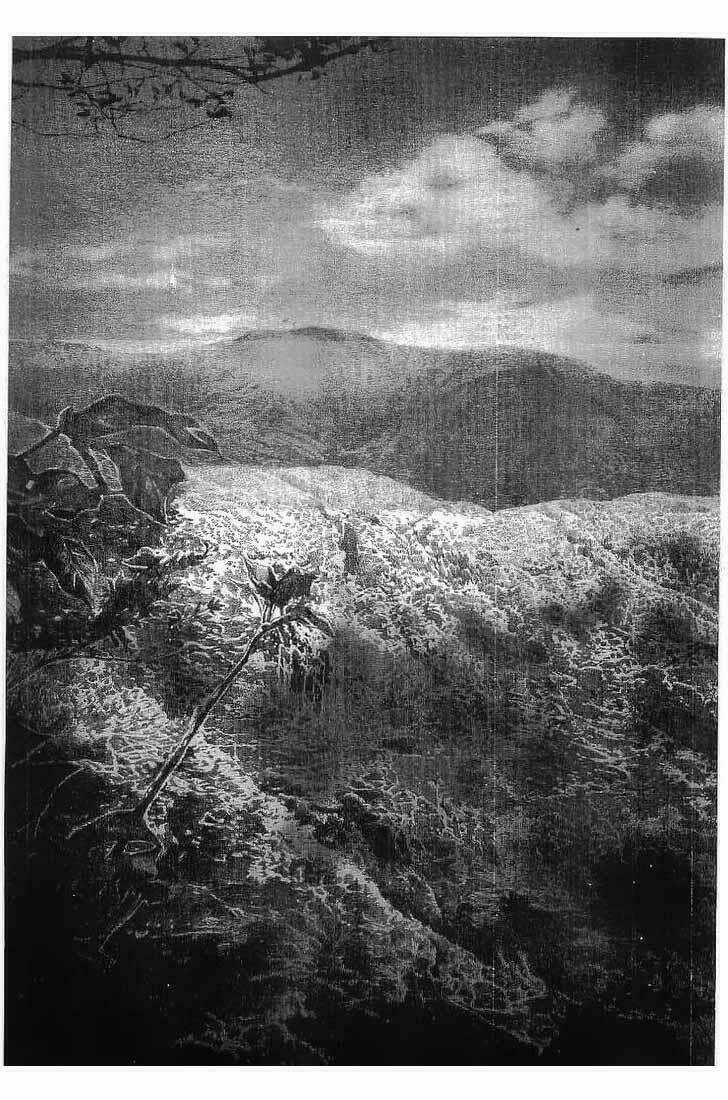 Bestia Chapter 20 trang 6