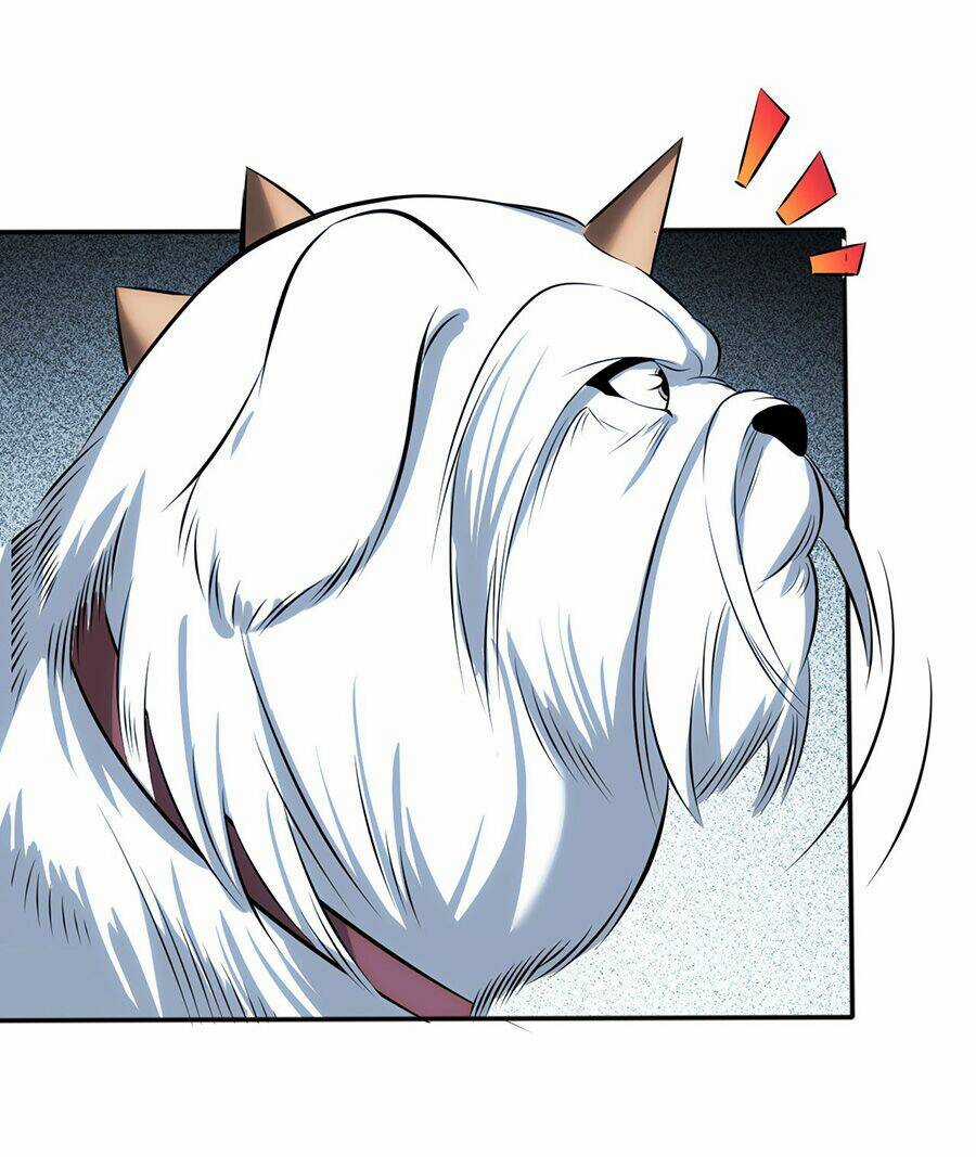 Bị Bắt Trở Thành Vô Địch Thánh Nữ Chapter 1 trang 45