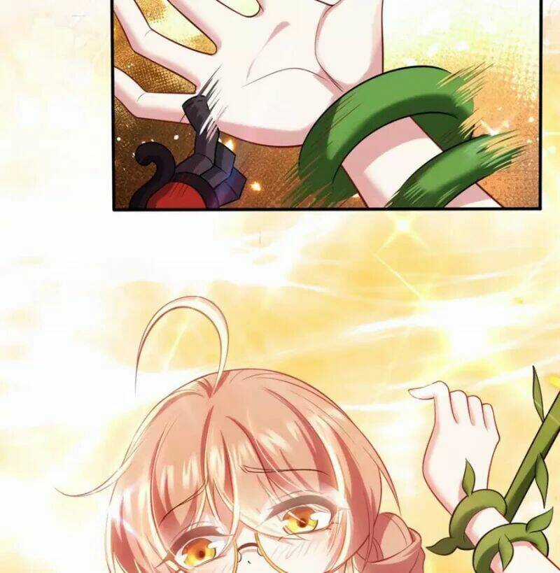 Bị Bắt Trở Thành Vô Địch Thánh Nữ Chapter 31 trang 43