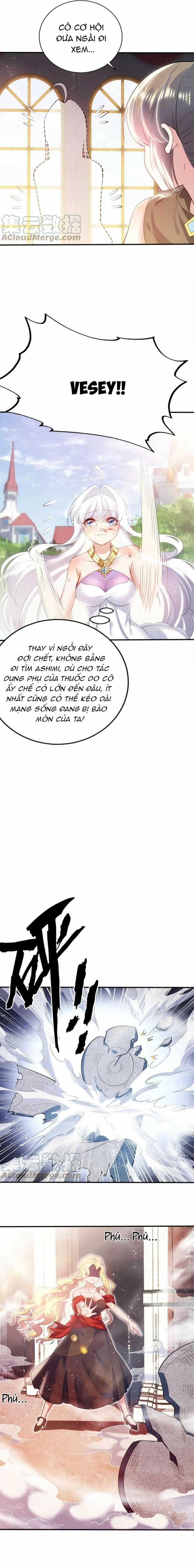 Bị Bắt Trở Thành Vô Địch Thánh Nữ Chapter 39 trang 5