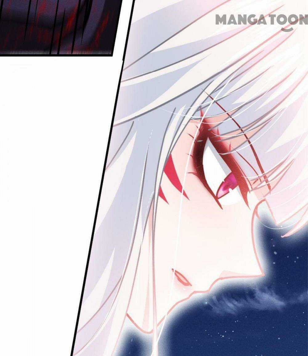 Bị Cắn Thành Vương Giả Chapter 70 trang 24