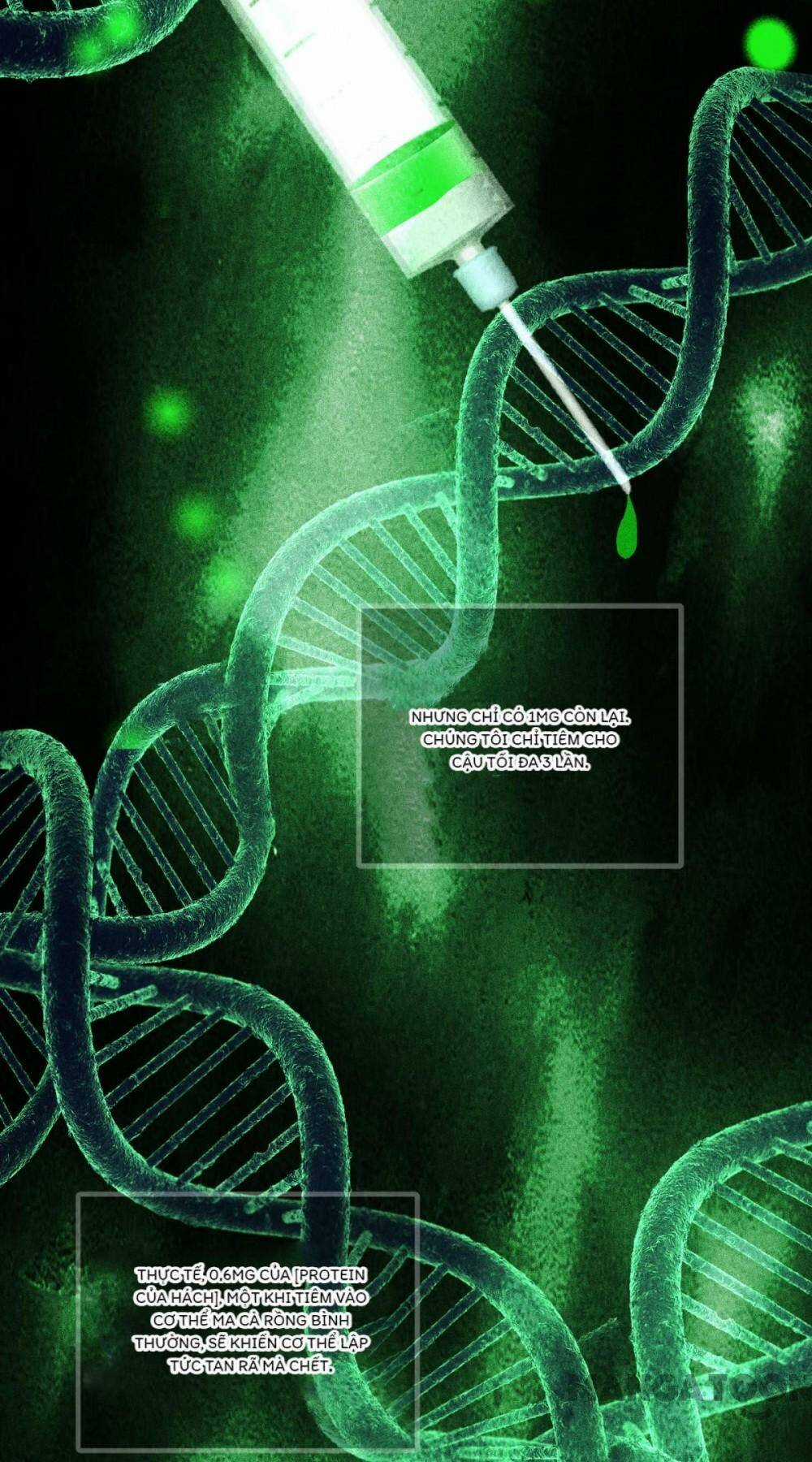 Bị Cắn Thành Vương Giả Chapter 82 trang 61