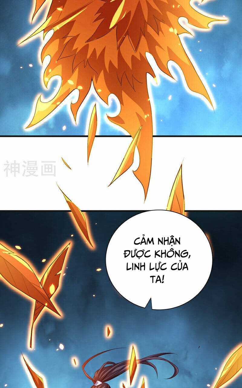 Bị Dạy Dỗ Thành Thánh Chapter 236 trang 6