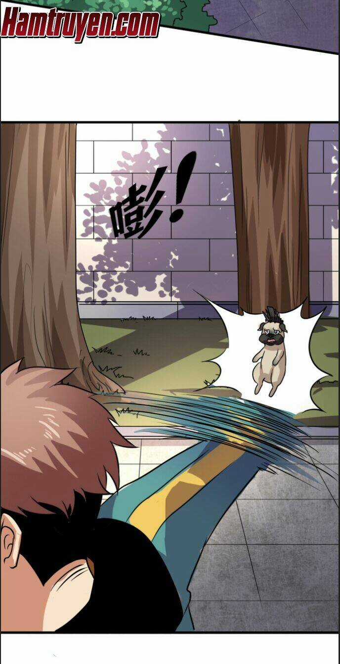 Bị Ép Trở Thành Mạnh Nhất Thế Giới Chapter 12 trang 25