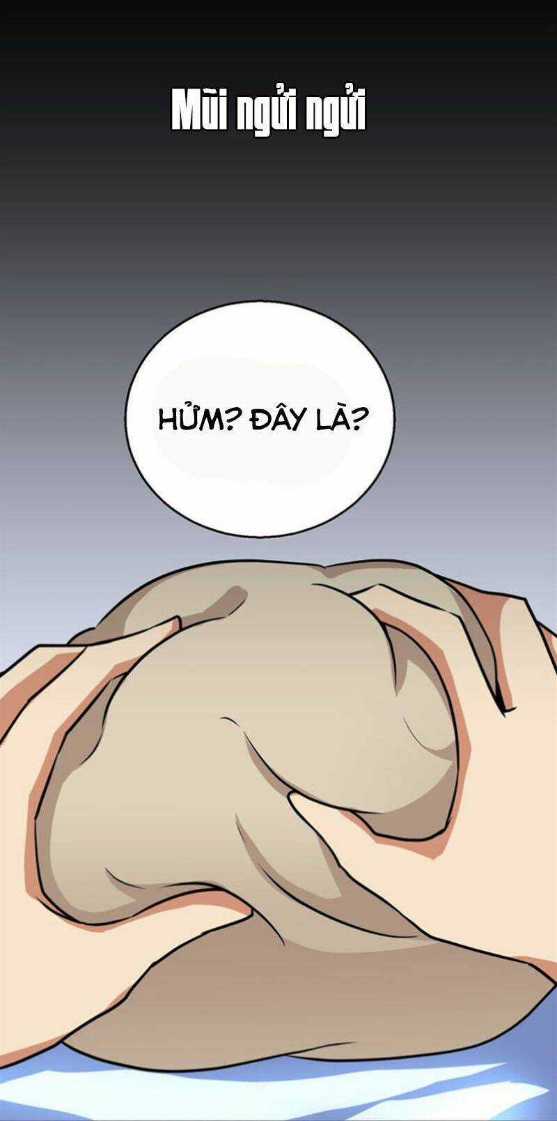 Bị Ép Trở Thành Mạnh Nhất Thế Giới Chapter 13 trang 10