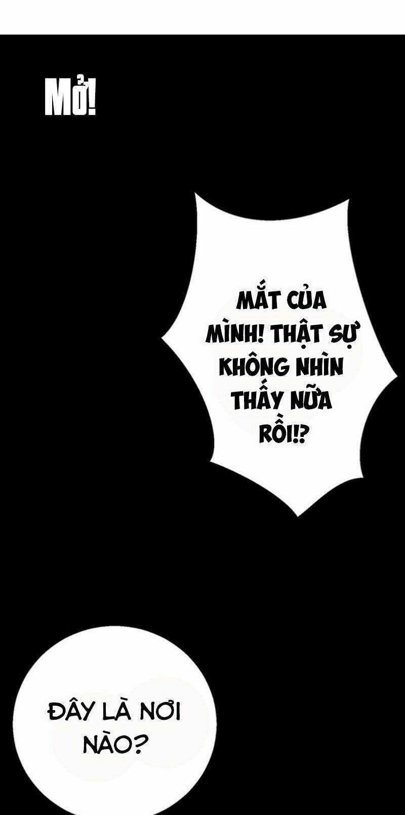 Bị Ép Trở Thành Mạnh Nhất Thế Giới Chapter 13 trang 8