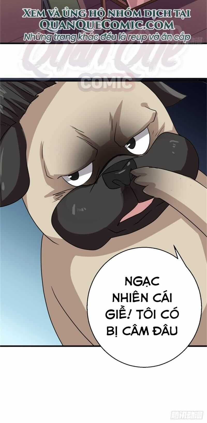 Bị Ép Trở Thành Người Mạnh Nhất Thế Giới Chapter 13 trang 17