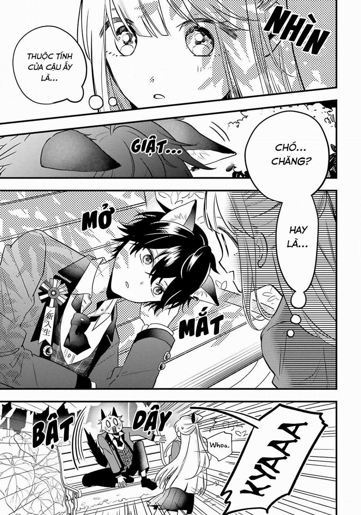 Bí mật của cậu người sói Chapter 1 trang 12