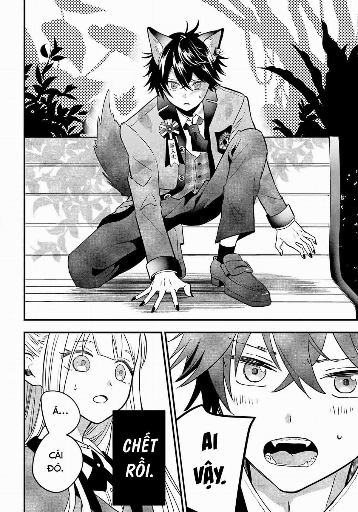 Bí mật của cậu người sói Chapter 1 trang 13