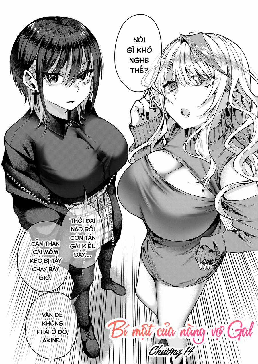 Bí Mật Của Cô Vợ Gyaru Chapter 14 trang 2