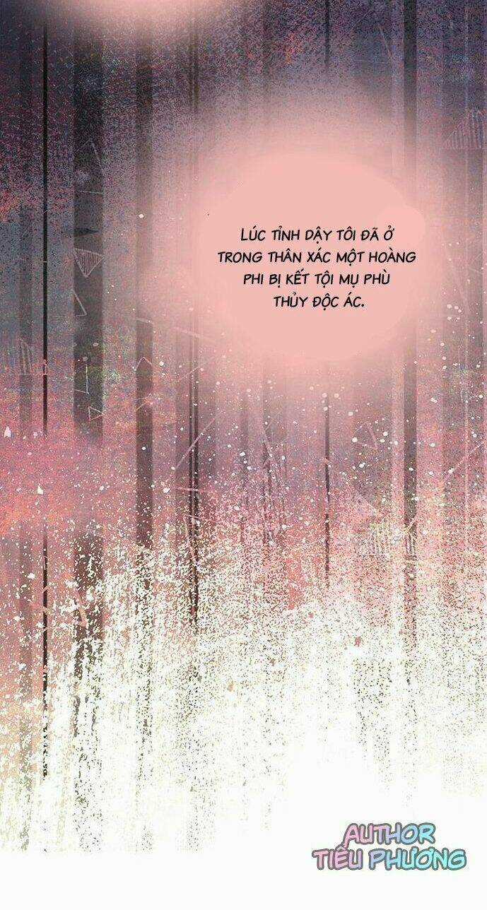 Bí Mật Của Hoàng Phi Isana Chapter 1 trang 35