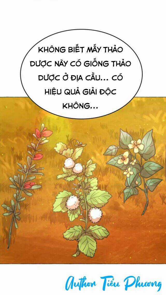 Bí Mật Của Hoàng Phi Isana Chapter 5 trang 23