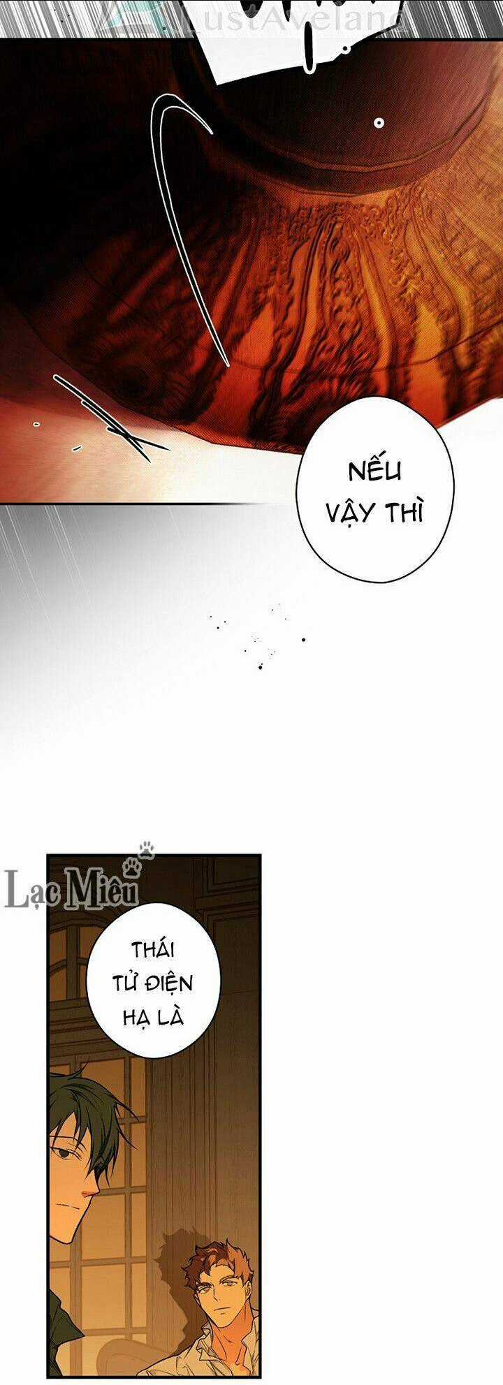 Bí Mật Của Quý Cô Chapter 28.5 trang 16