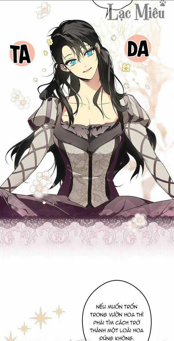 Bí Mật Của Quý Cô Chapter 38 trang 8