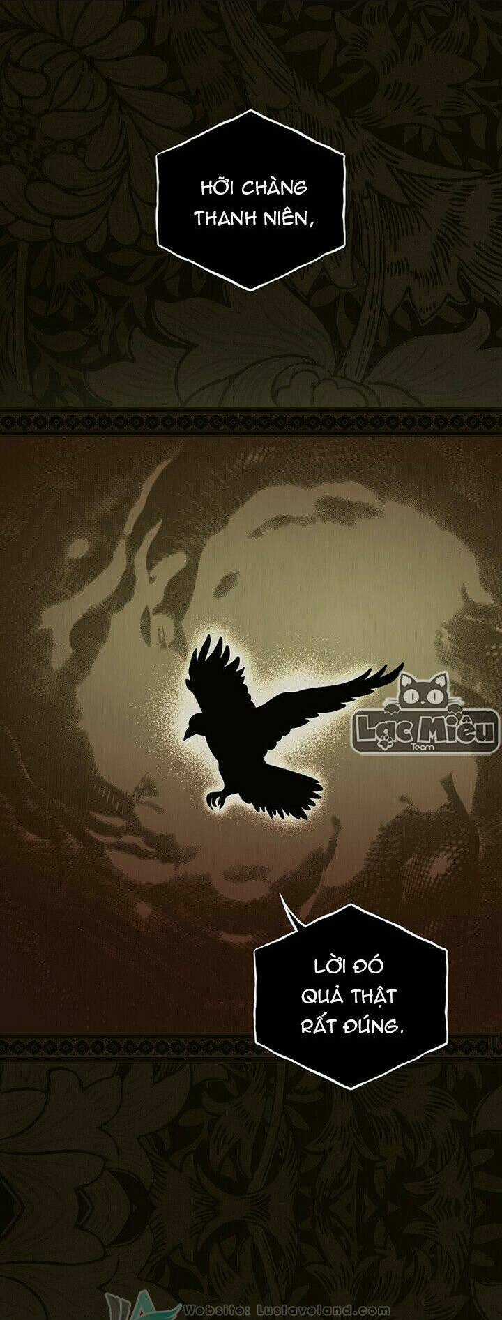 Bí Mật Của Quý Cô Chapter 48 trang 14