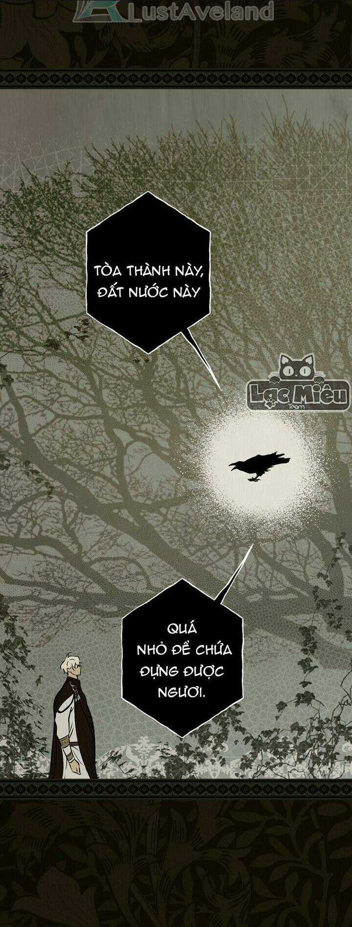 Bí Mật Của Quý Cô Chapter 48 trang 15