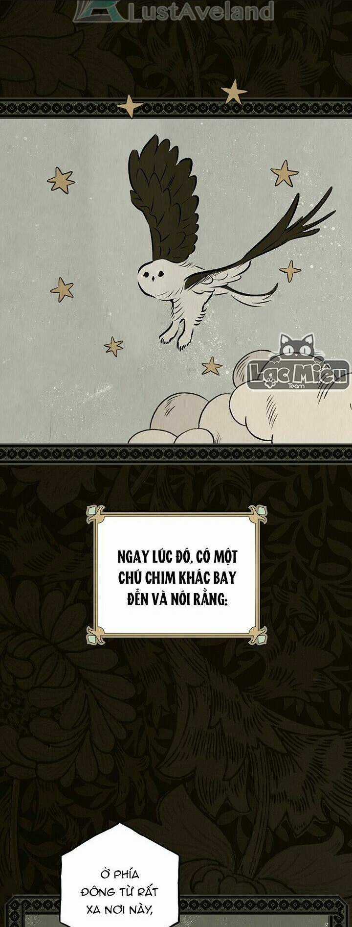 Bí Mật Của Quý Cô Chapter 48 trang 19