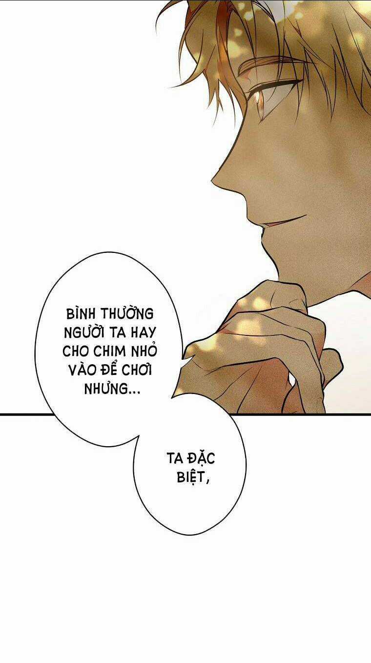 Bí Mật Của Quý Cô Chapter 55 trang 24
