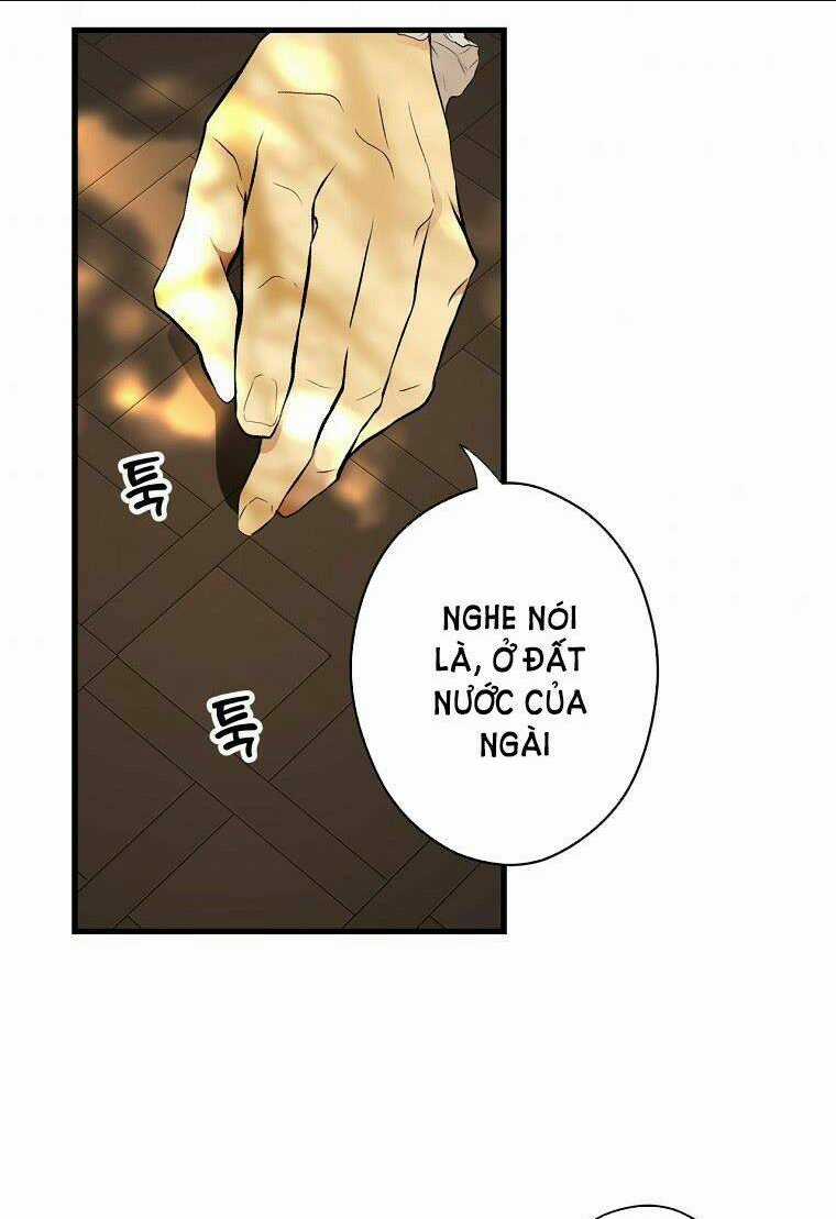 Bí Mật Của Quý Cô Chapter 55 trang 34