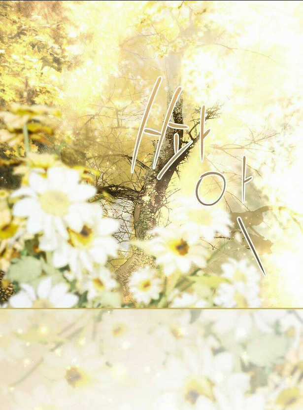 Bí Mật Của Quý Cô Chapter 57 trang 16