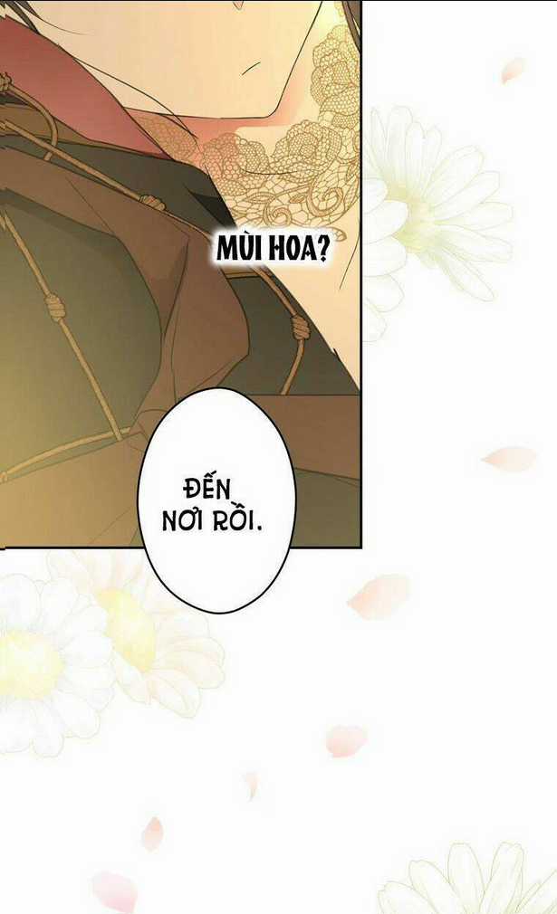 Bí Mật Của Quý Cô Chapter 57 trang 37