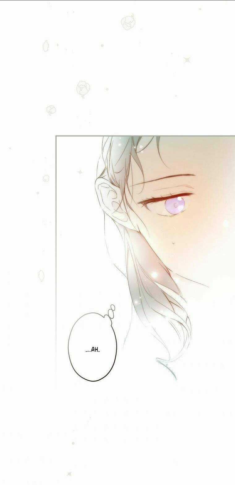 Bí Mật Của Quý Cô Chapter 60.5 trang 27