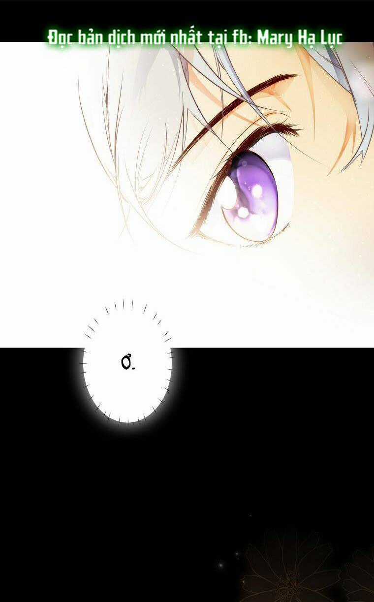 Bí Mật Của Quý Cô Chapter 70 trang 17