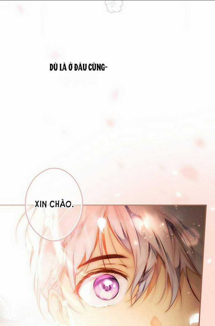 Bí Mật Của Quý Cô Chapter 70 trang 31