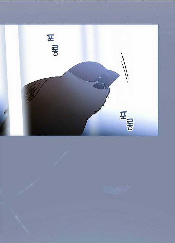 Bí Mật Của Quý Cô Chapter 72.5 trang 29