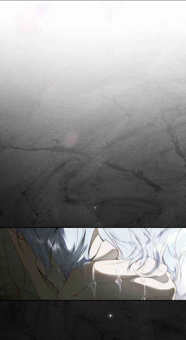 Bí Mật Của Quý Cô Chapter 74.2 trang 40