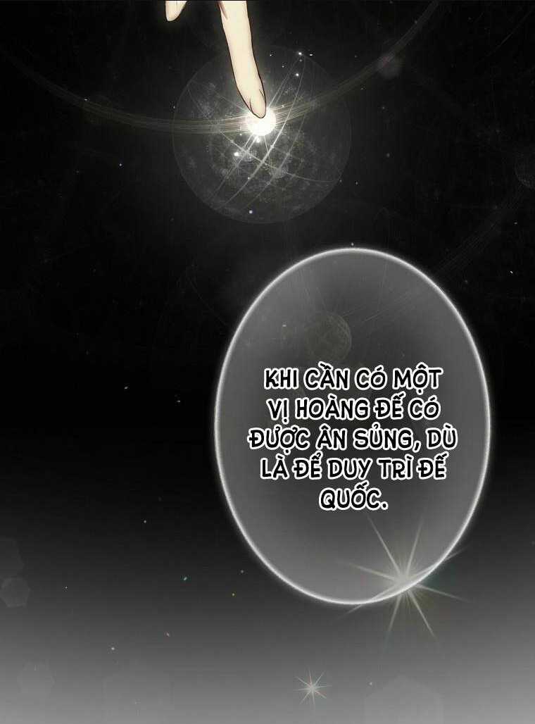 Bí Mật Của Quý Cô Chapter 75.1 trang 42