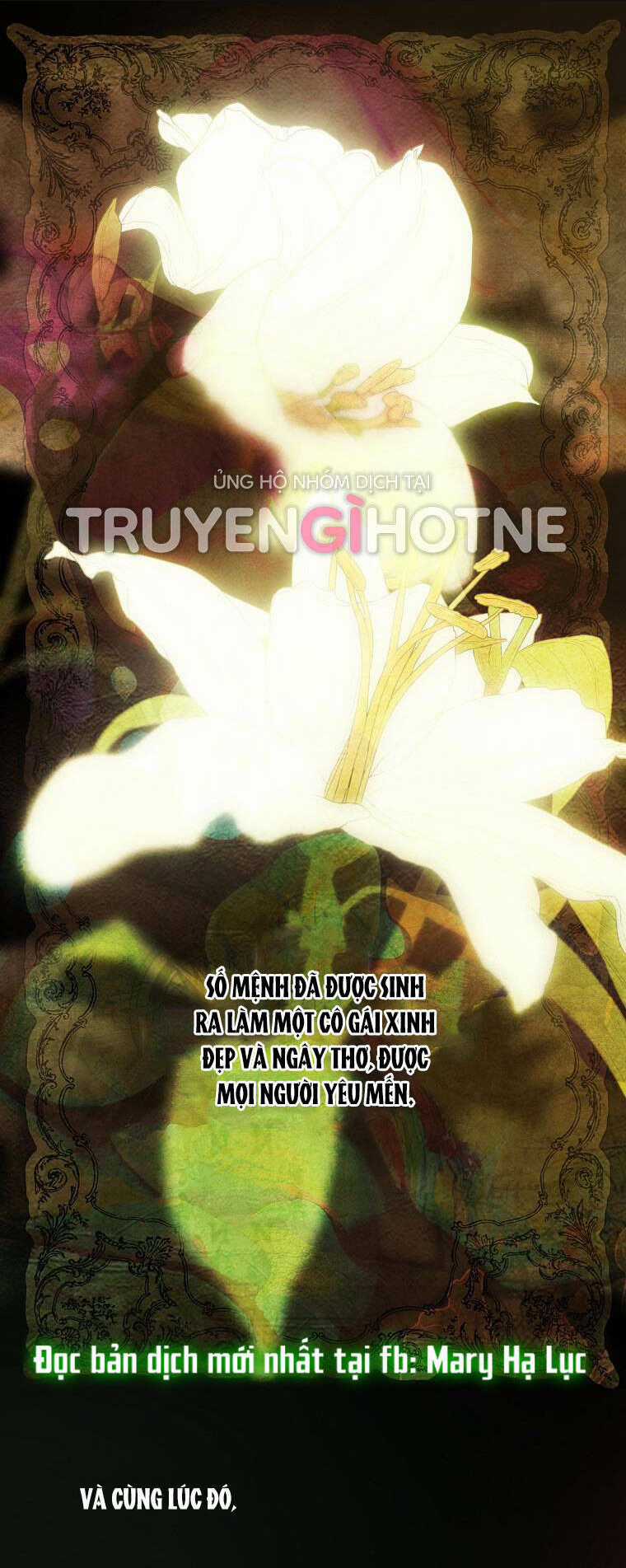 Bí Mật Của Quý Cô Chapter 78.1 trang 17