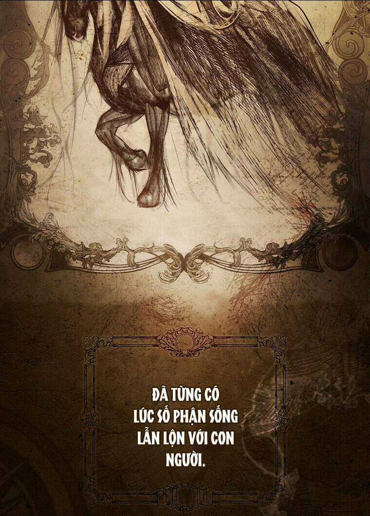 Bí Mật Của Quý Cô Chapter 78.1 trang 3