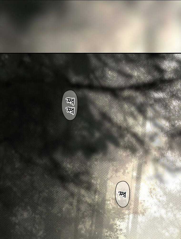 Bí Mật Của Quý Cô Chapter 78.2 trang 11