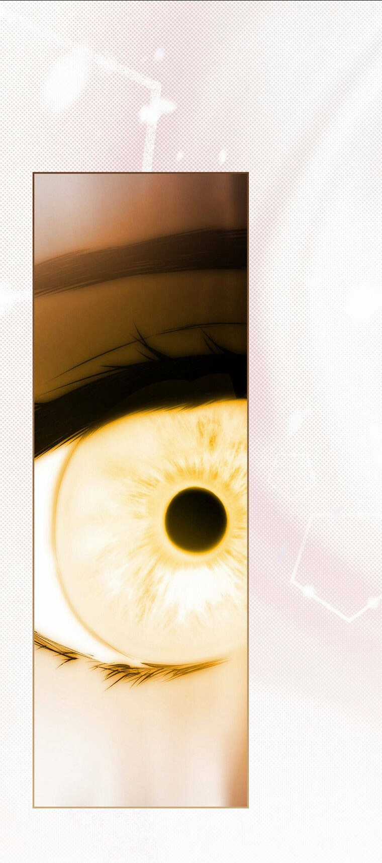 Bí Mật Của Quý Cô Chapter 78.2 trang 24