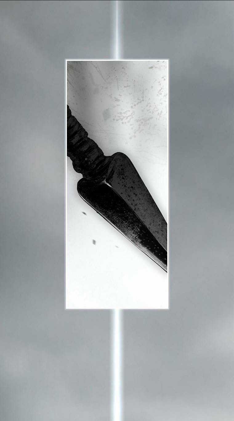 Bí Mật Của Quý Cô Chapter 82.1 trang 12