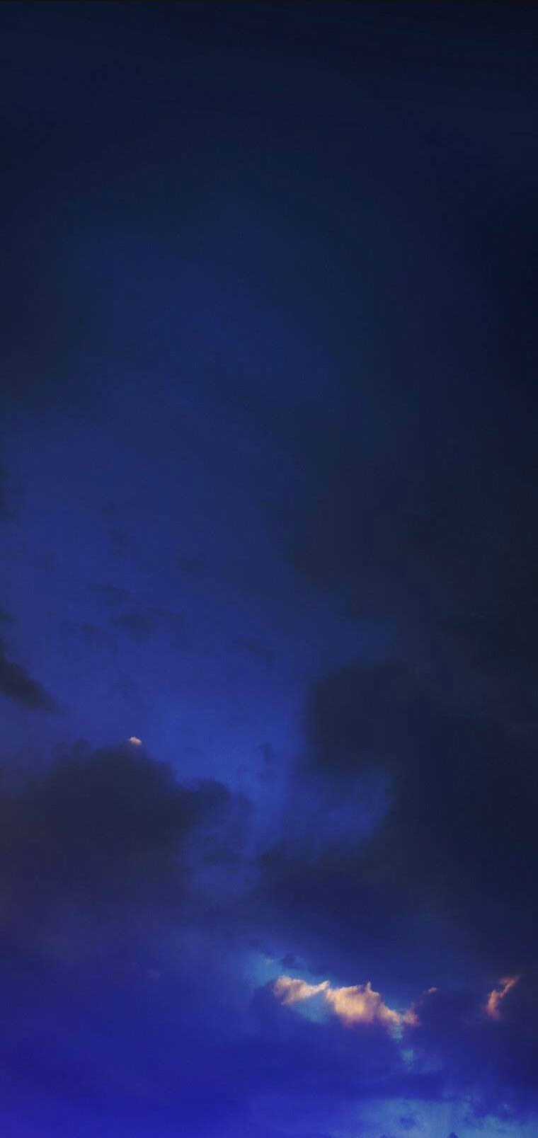 Bí Mật Của Quý Cô Chapter 90.1 trang 2