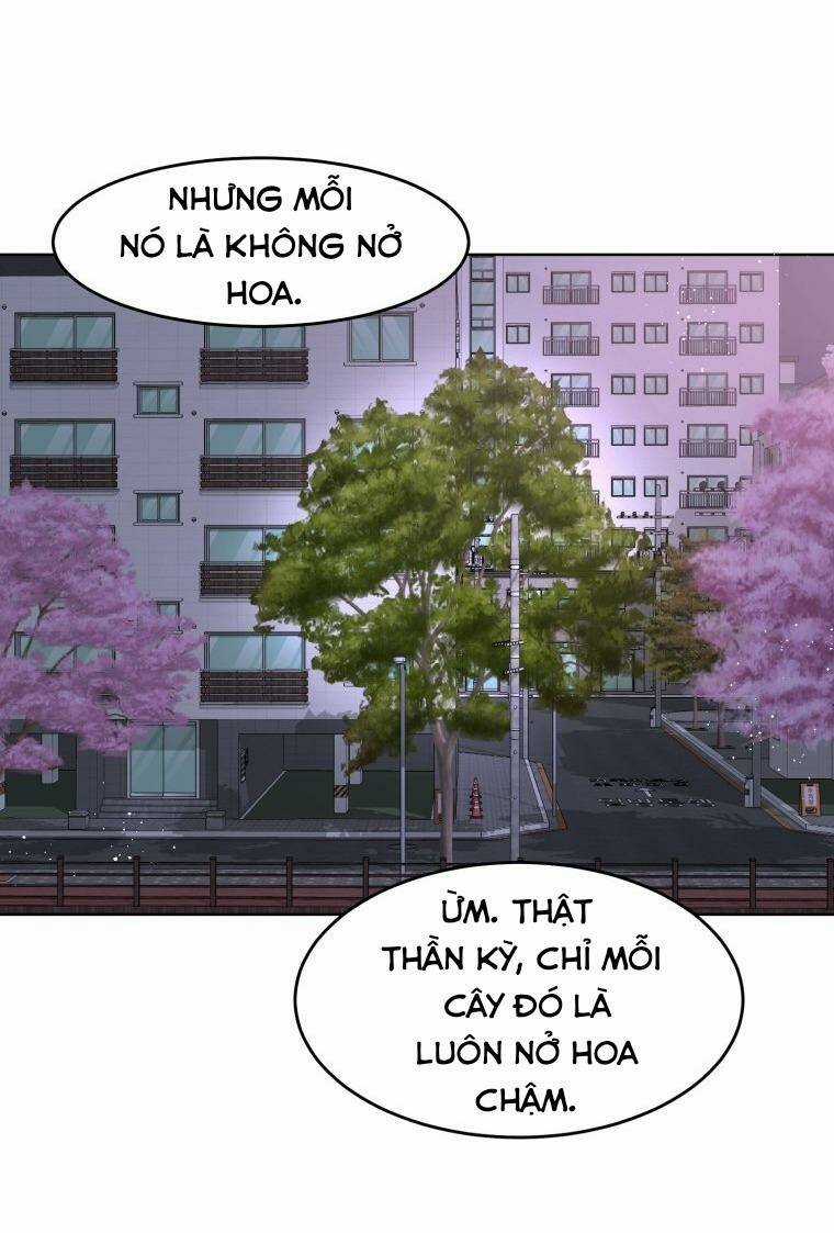 Bí Mật Highteen Chapter 15 trang 60