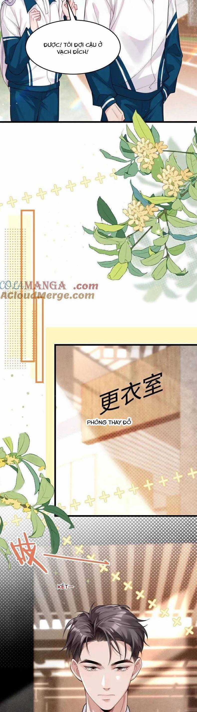 Bí Mật Nhỏ Của Chú Ngỗng Trắng Chapter 12 trang 7