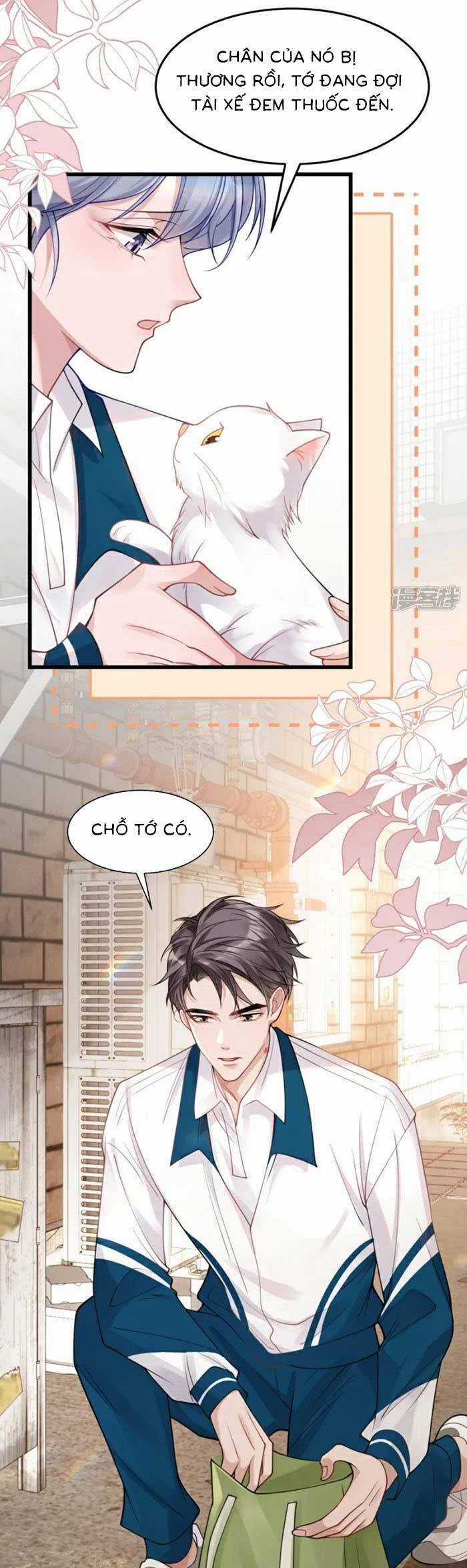 Bí Mật Nhỏ Của Ngỗng Trắng Chapter 13 trang 2