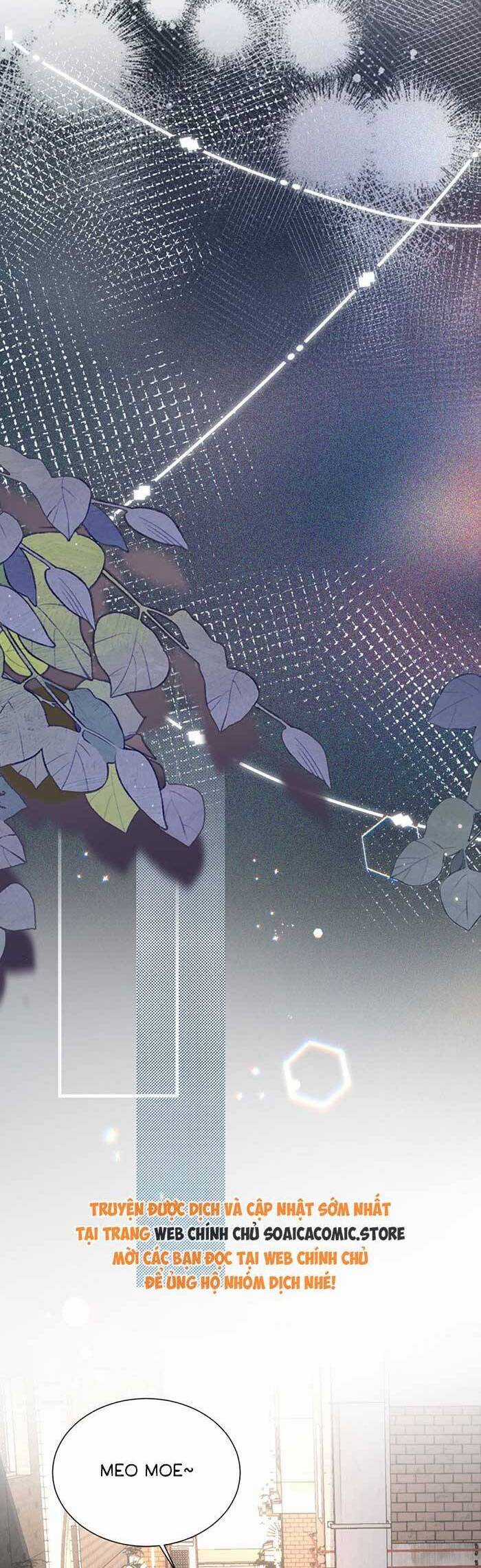 Bí Mật Nhỏ Của Ngỗng Trắng Chapter 6 trang 12