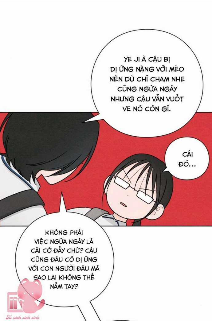 Bí Mật Thanh Xuân Chapter 40 trang 51