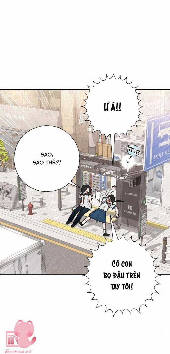 Bí Mật Thanh Xuân Chapter 40 trang 60
