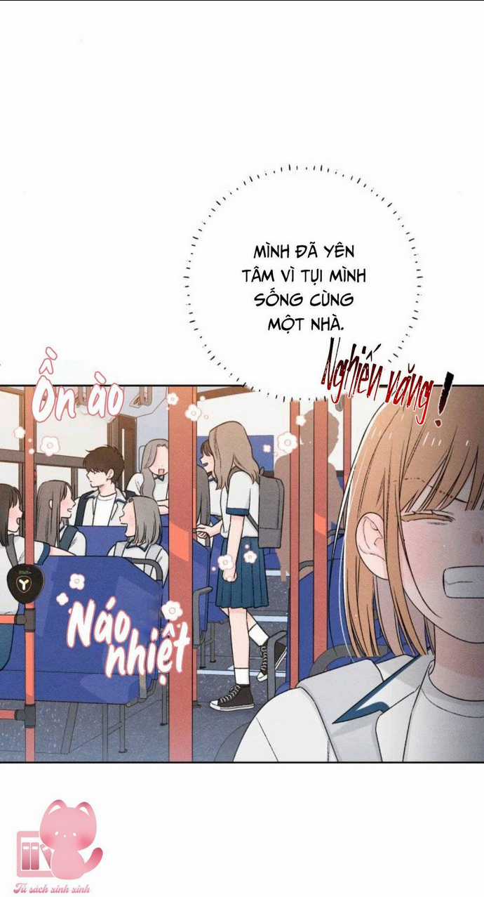 Bí Mật Thanh Xuân Chapter 52 trang 12