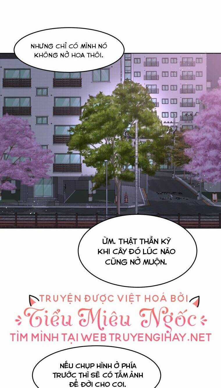 Bí Mật Tình Yêu Tuổi Thanh Xuân Chapter 15 trang 61