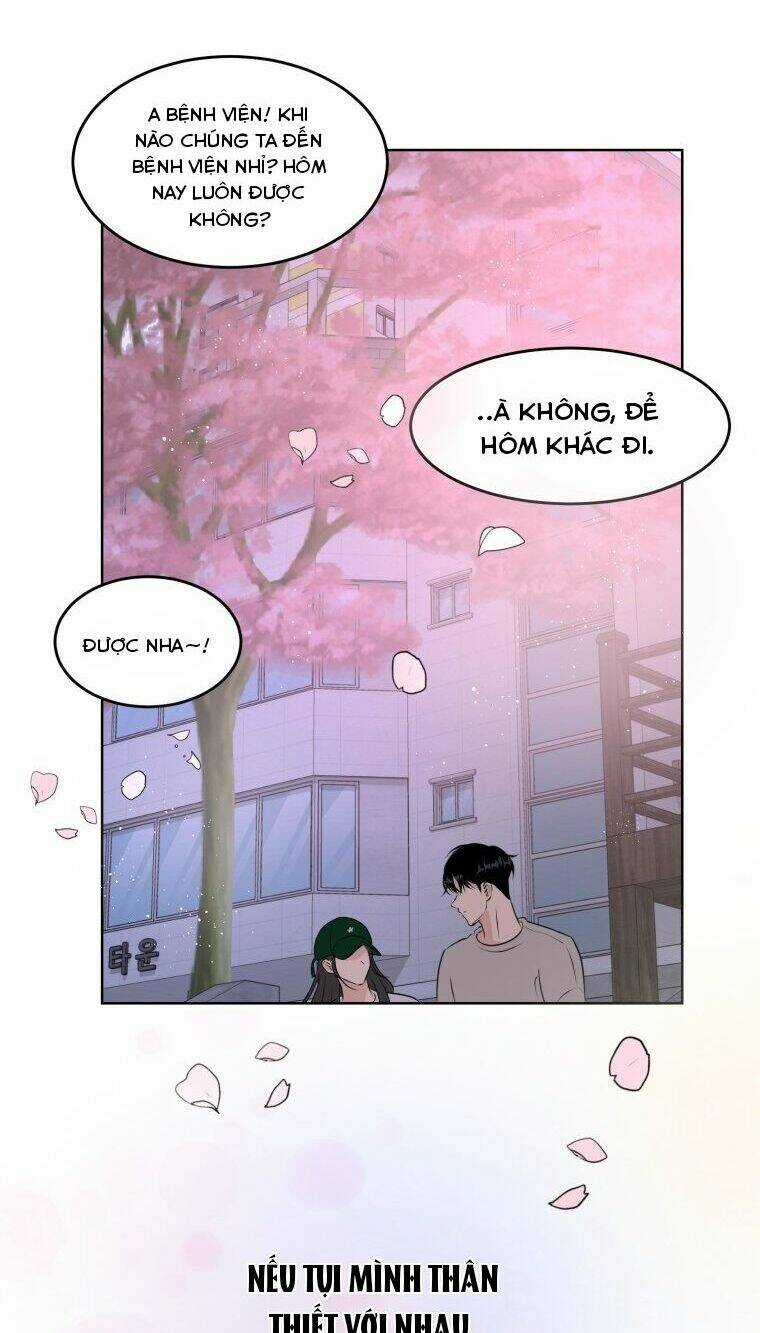 Bí Mật Tình Yêu Tuổi Thanh Xuân Chapter 15 trang 66