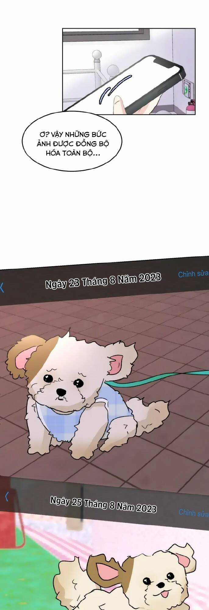 Bí Mật Tình Yêu Tuổi Thanh Xuân Chapter 19 trang 11