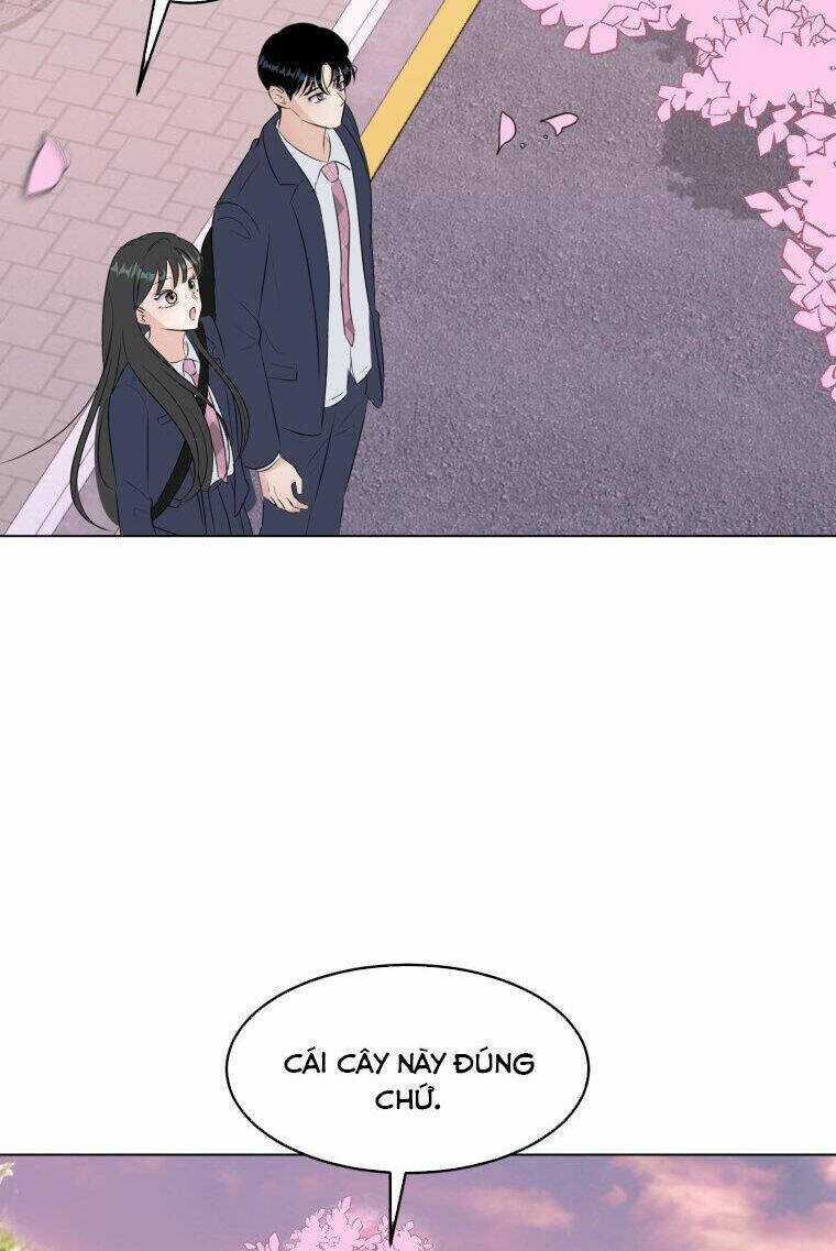 Bí Mật Tình Yêu Tuổi Thanh Xuân Chapter 28 trang 4