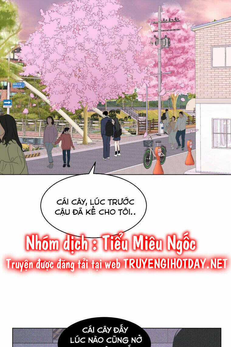 Bí Mật Tình Yêu Tuổi Thanh Xuân Chapter 28 trang 5
