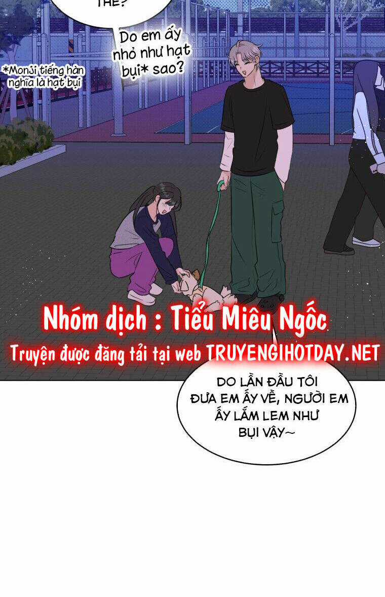 Bí Mật Tình Yêu Tuổi Thanh Xuân Chapter 44 trang 19